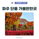 UR(파주시)-[책향기숲길]-하-7 | 파주 가을 가볼만한곳, 마장호수 출렁다리 출판도시 단풍 산책