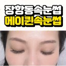 장항동속눈썹 ㅣ 속눈썹 연장 유지 잘 되는 곳 메이퀸 속눈썹 후기