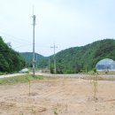 해병농장 이미지