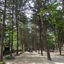 이*남 - 안양시 동안구 비산동 | 이*남