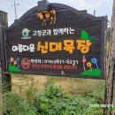 신대목장 이미지