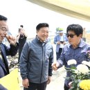 국화 이미지