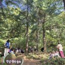 자연그린 이미지