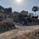 여주-0200 이미지