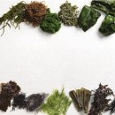 대림헬스 이미지