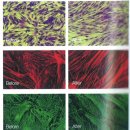 (주)아일글로벌 이미지