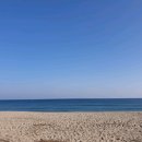 금강산횟집 이미지