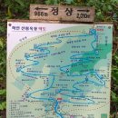 화인애견 이미지