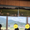 [철원] 고석정 근처 한탄강 막국수 비빔막국수, 메밀전병 후기 : 굳이...?