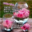 월요일 아침! 꽃처럼 활짝 미소짖는 하루 되세요~ / 덴드로비움 이미지