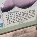 신녕면-부산1리-1