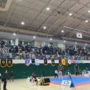 우수태권도체육관 이미지