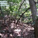 무주읍124 이미지