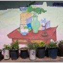 김포다은병원 이미지