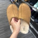 호텔 아망 | 2일차(다이아몬드헤드/KCC파머스마켓/코나커피 퀸아망/와이키키 해변/마구로스팟/킼인케이준/야드하우스)