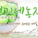 마미농장 이미지