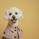 가평더뮤즈펜션 이미지