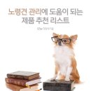 노령견 관리에 도움이 되는 제품 추천 리스트