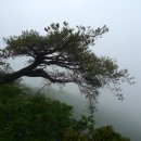 (정기,2012-07-22,일)경남 거창 금원산(1,353m)산행계획(수승대) 이미지