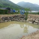 대영오토 이미지