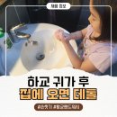 하교 | 하교 후 귀가 후 집에 오면 데톨 항균 핸드워시 손씻기