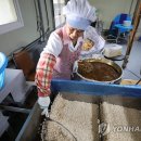 사주1리 이미지