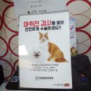 도그플러스동물병원 이미지