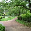 김해시 X-게임장 이미지