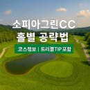 건축사사무소 자락 | 소피아그린CC 홀별 공략법 &amp; 리얼 후기