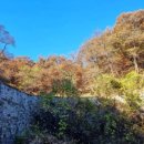 성호로 8길 이미지