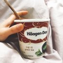 시시올 이미지