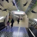 2000 킹 당구장 이미지