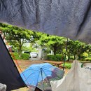 모구리야영장(가족영지) | 우중 캠핑 제주 서귀포 캠핑장 모구리 야영장 예약,이용팁, 명당자리