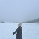 대관령호텔 이미지