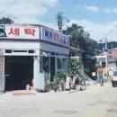 럭키세탁소 이미지
