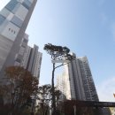 봉담한신더휴에듀파크 이미지