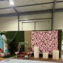 대운장 | 멍스퀘어 애견운동장 화성점 / 애견카페, 운동장 / 24시간 영업