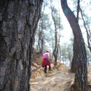 지리산명가 이미지