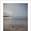 이호해변 이미지