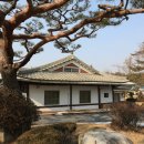 좌산농장 Daum카페