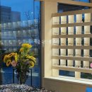 새빛안경점 이미지