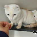 호텔엘린 이미지