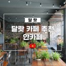 5726 | 달랏 카페 추천 안카페 위치, 메뉴 포함 솔직후기
