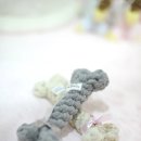 강남켄넬 이미지