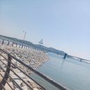 초지항 | 초지항 횟집 황용호 솔직 후기