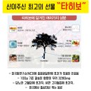 하루 한병씩! 타히보 하루치로 건강해지기~♡