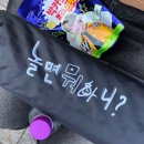 (일상) 2024-06 (2) : 놀면 뭐하니 축제 다녀와서 또 티켓팅하는 한 주