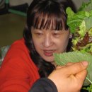 진벌농장 이미지