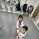 용인대 도담 태권도장 이미지