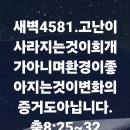 4시30분에시작하는하루.4581. 출8:25-32 이미지